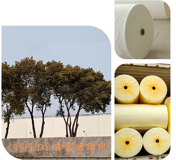 Company Profile